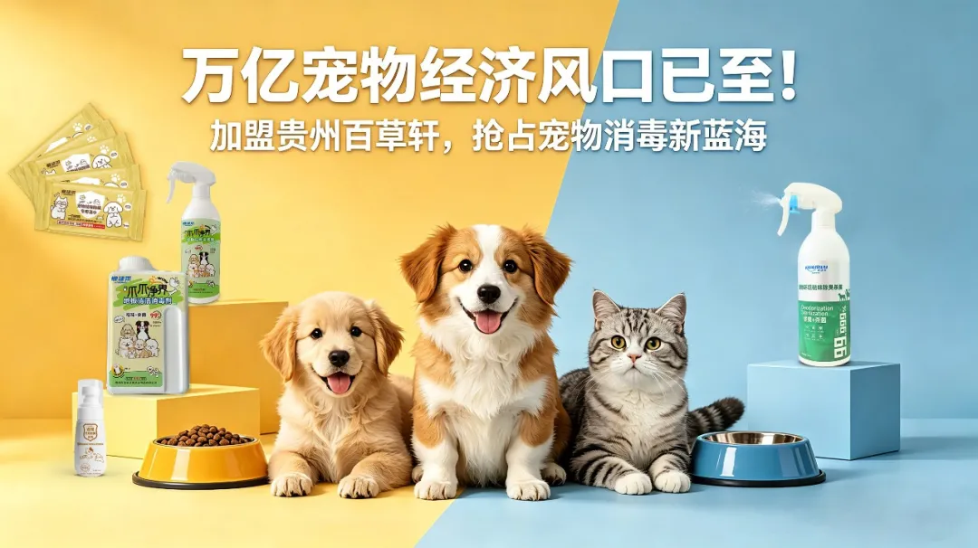 人宠共生安心养宠指南：宠物消毒用品怎么选？温和安全品牌推荐